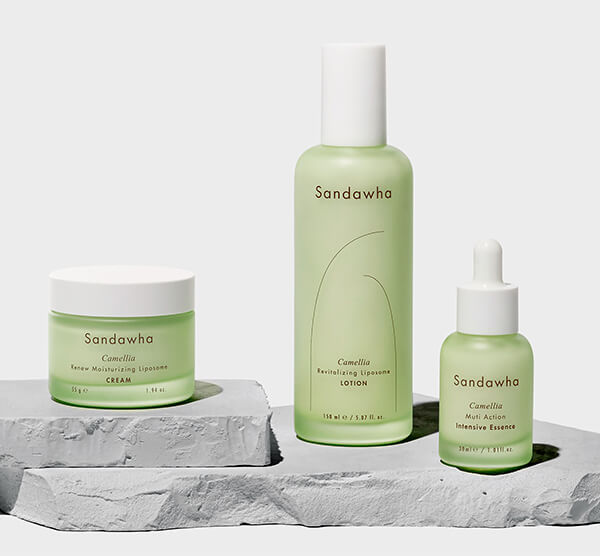 Премиальный веганский бренд Sandawha