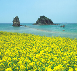 Hollyshop.ru в Корее: Остров Чеджу | Влог