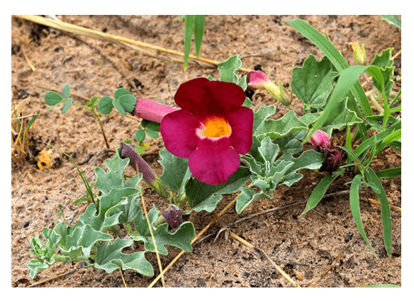 Screen-shot-2015-03-27-at-12.12.39-PM.png Screen-shot-2015-03-27-at-12.12.39-PM.png
