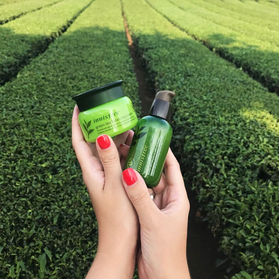 Innisfree Jeju House Innisfree Jeju House