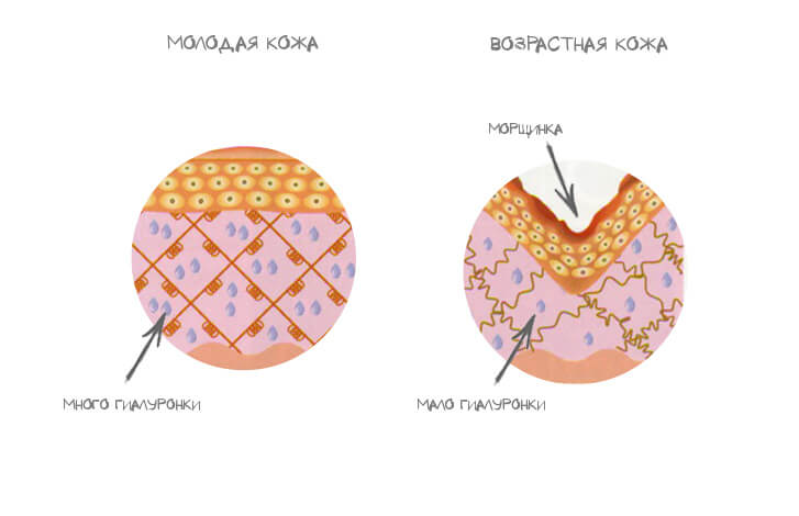 vozrast.jpg vozrast.jpg