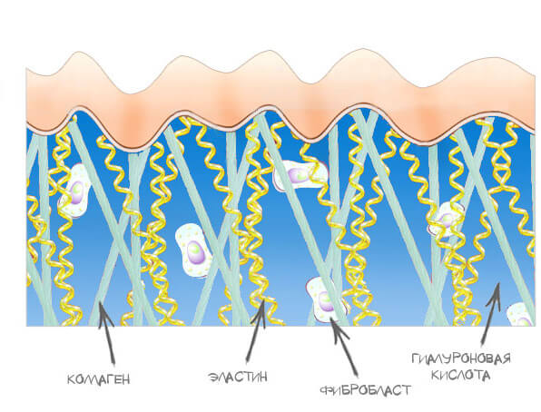matras (1).jpg matras (1).jpg
